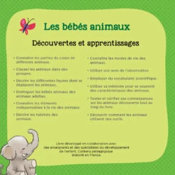 Les Bébés Animaux 7 Les Bébés Animaux -Célèbre Jouets Magasin 480005 livre bC3A9bC3A9 animaux dos