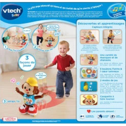 VTECH BABY Titi Ouistiti 9 VTECH BABY Titi Ouistiti -Célèbre Jouets Magasin 505905 titi ouistiti 2