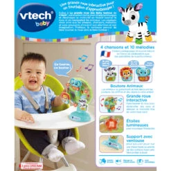 VTECH BABY La Grande Roue Des Baby Loulous -Célèbre Jouets Magasin 80 165965 dos boite