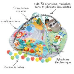 Célèbre Jouets Magasin -Célèbre Jouets Magasin 80 550005 visuel flC3A8ches