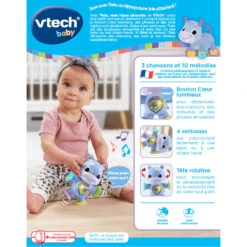 VTECH BABY Théo, Mon Hippo Pirouette - Jouet Interactif 11 VTECH BABY Théo, Mon Hippo Pirouette - Jouet Interactif -Célèbre Jouets Magasin 80 550305 dos boite