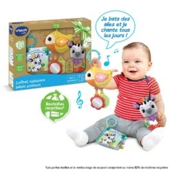 VTECH BABY Coffret Naissance Bébés Animaux -Célèbre Jouets Magasin 80 562505 CAT