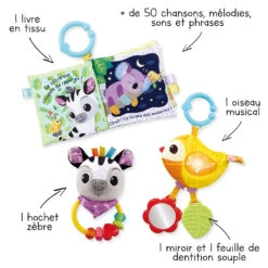 VTECH BABY Coffret Naissance Bébés Animaux -Célèbre Jouets Magasin 80 562505 visuel fleches